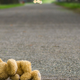 Illustration for article titled Mom Driving SUV Kills 3-Year-Old Son in a Game of ‘Chicken’ With Her Children, Prosecutors Charge